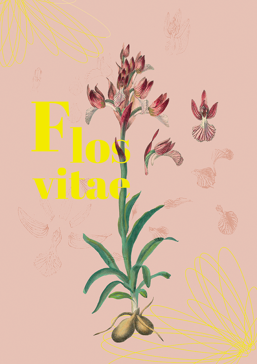 Flos Vitae. Histoire naturelle des fleurs